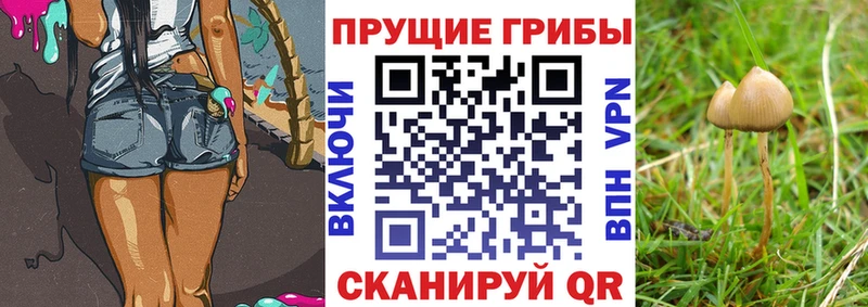 МЕГА ТОР  Кемь  Галлюциногенные грибы ЛСД 
