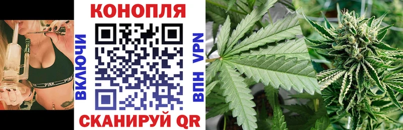 Шишки марихуана планчик  гидра онион  Кемь 